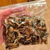 Where To Buy Psilocybin Online