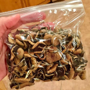 Where To Buy Psilocybin Online